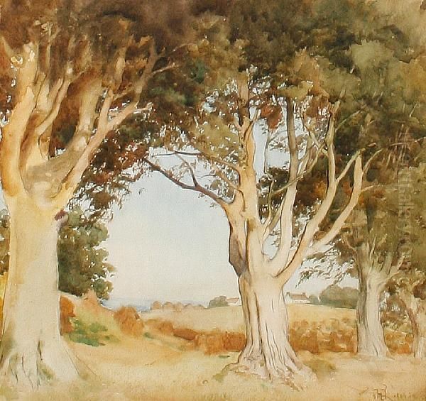 Study Of Trees With A View Of Cottages In The Distance Oil Painting by William Bruce Ellis Ranken