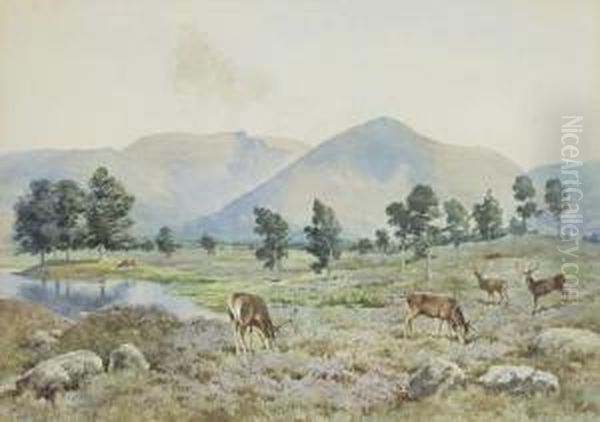 Red Stags On The Moor Oil Painting by Andrew Scott Rankin