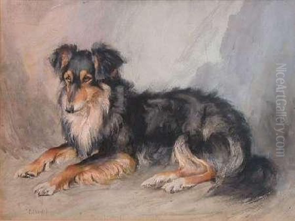 Fitheath - A Shetland Sheepdog Oil Painting by Andrew Scott Rankin