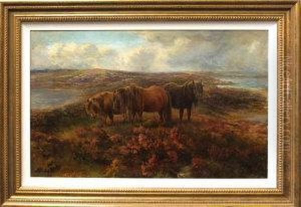 Shetland Ponies Grazing Amongst Heather Oil Painting by George James Rankin