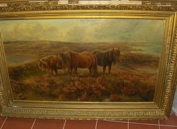 Wild Ponies On Moorland Oil Painting by George James Rankin