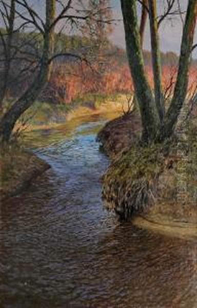 Olszanka (strumien Na Wiosne) Oil Painting by Jozef Rapacki