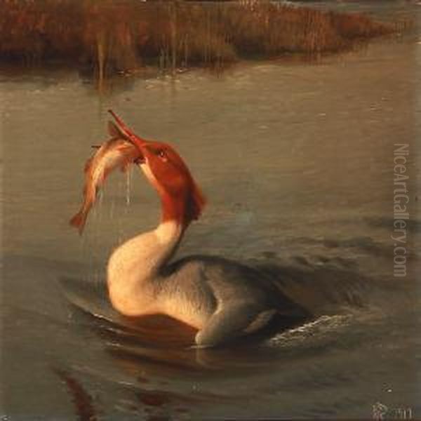 Merganser With A Fish Oil Painting by Niels Peter Rasmussen