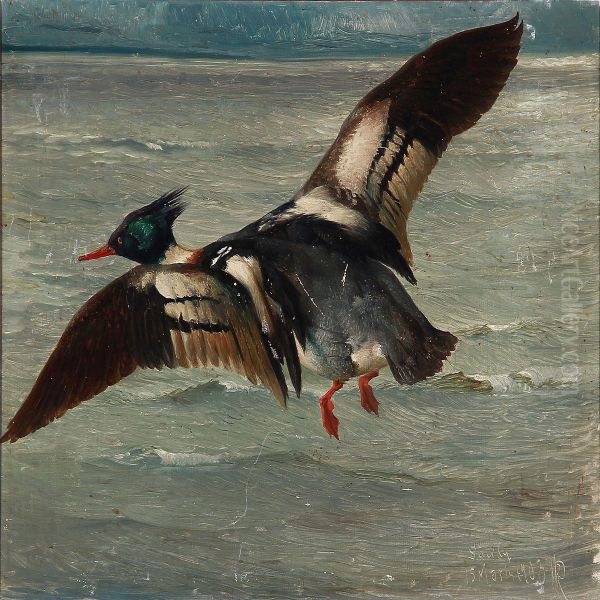 A Duck Flying Over The Sea Oil Painting by Niels Peter Rasmussen