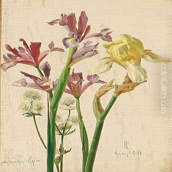 Iris And Astrantia Major Oil Painting by Niels Peter Rasmussen