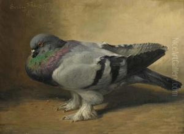 Pigeon Oil Painting by R.C. Rasmussen