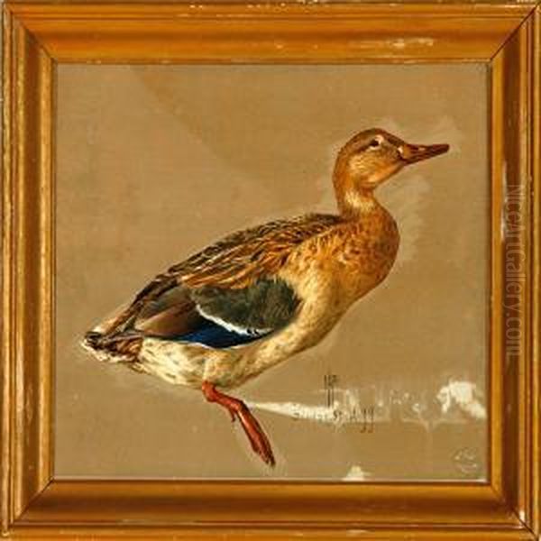 A Mallard Oil Painting by R.C. Rasmussen