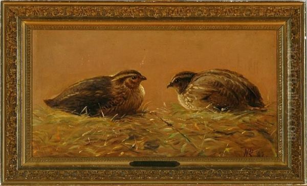 A Couple Of Young Quails On A Lawn Oil Painting by R.C. Rasmussen