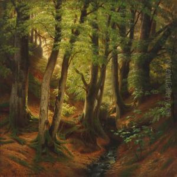 Spring Forest With A Minor Stream Oil Painting by Eiler Rasmussen-Eilersen