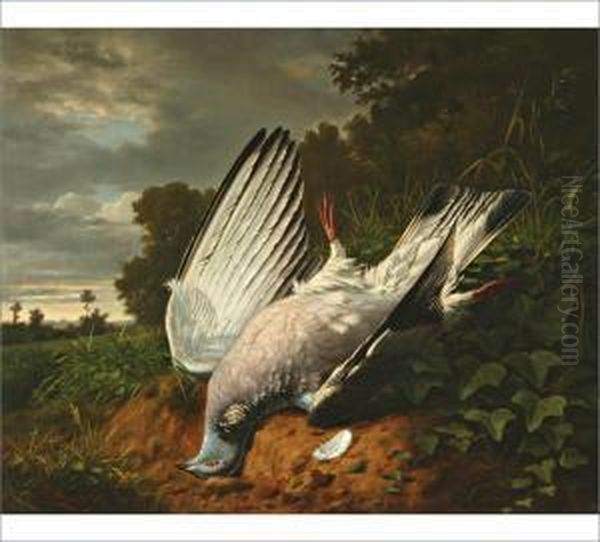 A Dove Oil Painting by Benjamin Fils Raspail