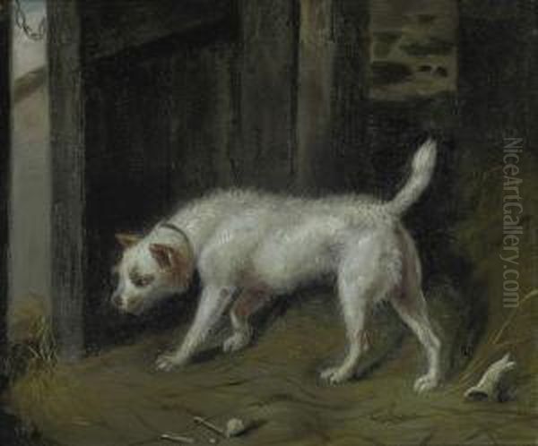 A Inquisitive Terrier Oil Painting by Samuel Raven