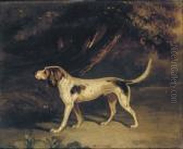 A Favourite Hound Oil Painting by Samuel Raven