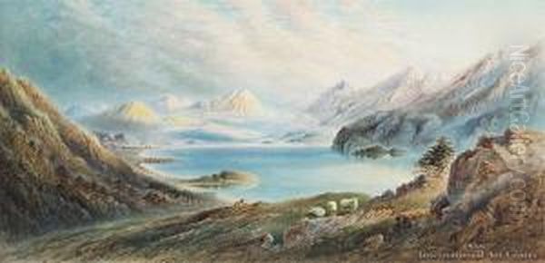 Te Anau Oil Painting by William Henry Raworth