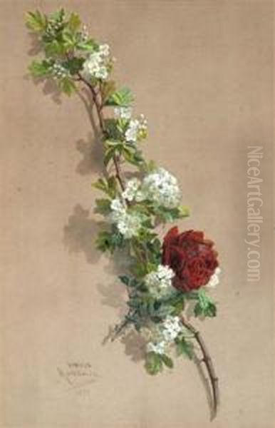 A Still Life Of A Red Rose And Blossom On A Branch Oil Painting by Emile Raybaud