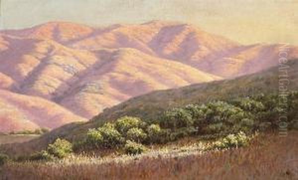 Sun's Last Rays, Marin County,california Oil Painting by Louis Edward Rea