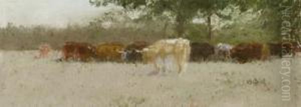 Cattle Grazing Oil Painting by Charles Franklin Reaugh