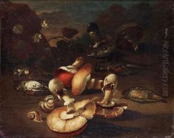 Still Life With Birds And Mushrooms Oil Painting by Giuseppe Recco