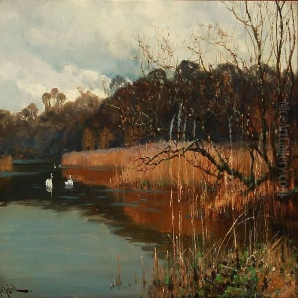 Swans On A Forest Lake Oil Painting by Arthur Walker Redgate