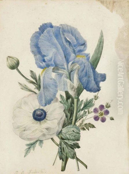 A Blue Iris, A Geranium And A White Poppy Oil Painting by Pierre-Joseph Redoute