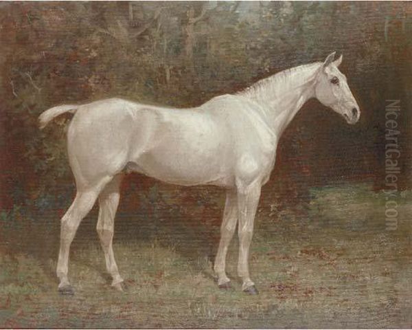 Launcelot, A Grey Horse Oil Painting by William Josiah Redworth