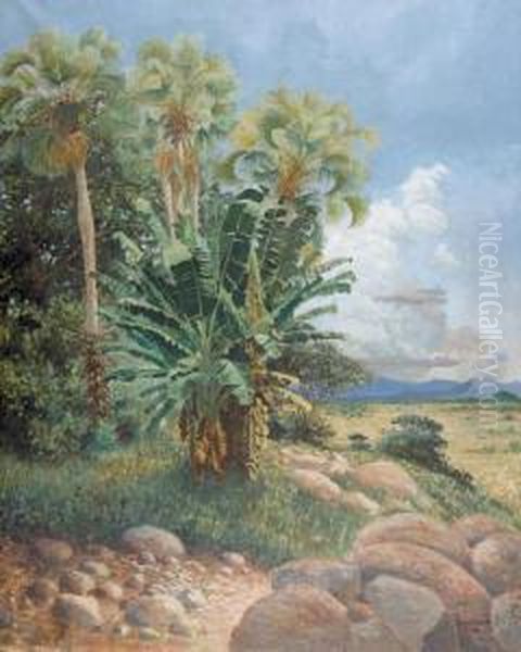 Afrikanische Landschaft. Oil Painting by Paul Reichard