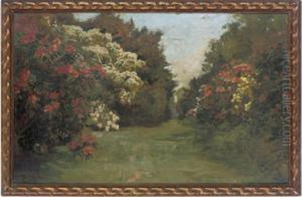 In The Rhododendron Alley At Tyninghame, Haddington, Scotland Oil Painting by Robert Payton Reid