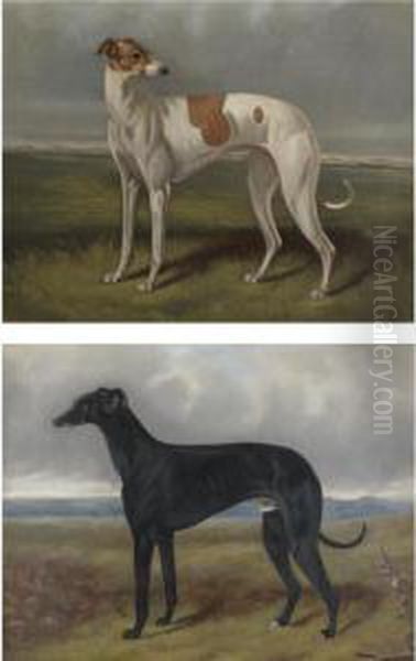 Two Greyhounds 
Phyllida
 And 
Phoebus Oil Painting by George Philip Reinagle