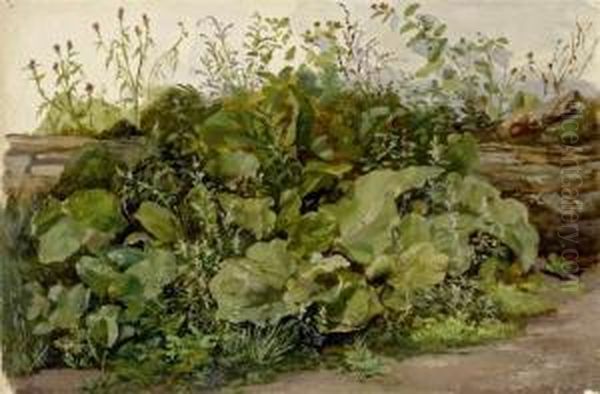 Study Of A Piece Of Turf Oil Painting by Louis, Ludwig Reinhardt