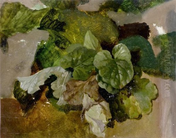 Plant Study Oil Painting by Louis, Ludwig Reinhardt