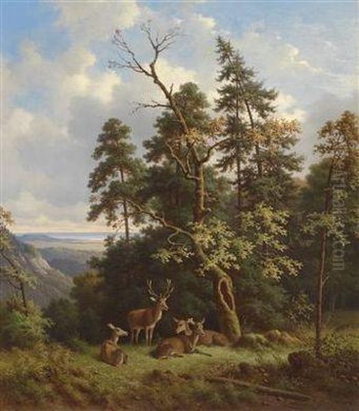 Red Deer In A Woodland Clearing Oil Painting by Wilhelm Reinhardt