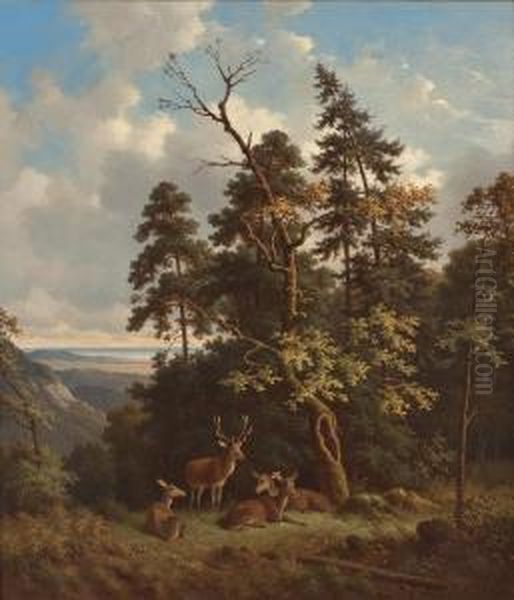 Rotwild An Waldrand Mit Blick Auf Einen See Oil Painting by Wilhelm Reinhardt