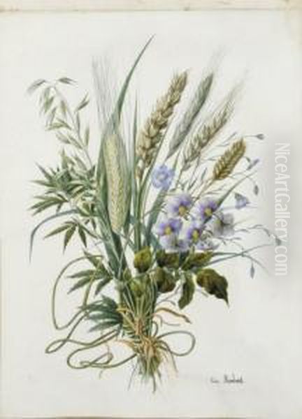 Bouquet De Ble, D'escourgeon Et De Fleurs Bleues Oil Painting by Anna Emilia Reinhart