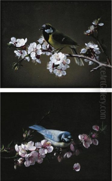 Blue Tit On A Branch Of Plum Tree In Bloom; Great Tit On A Branch Of Cherry Tree Oil Painting by Pierre Etienne Remillieux