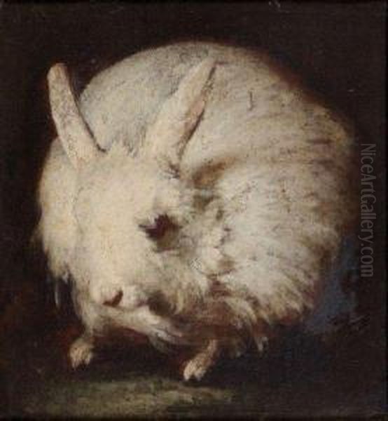 Lapin Angora Oil Painting by Arcangelo Resani