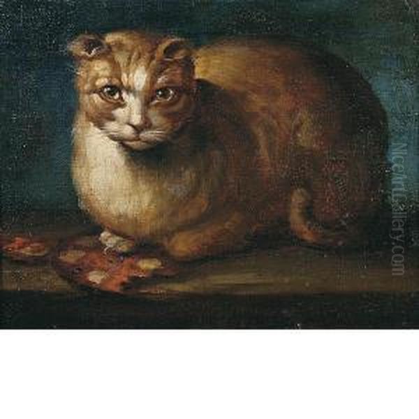 Gatto Accovacciato Oil Painting by Arcangelo Resani