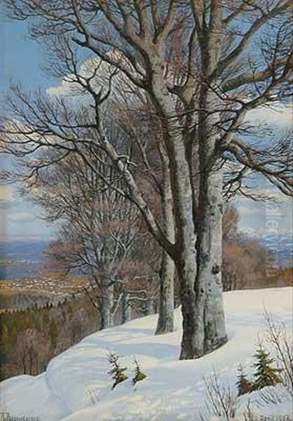 Blick Von Hohenpreissenberg Nach Weilheim Oil Painting by Rudolf Reschreiter