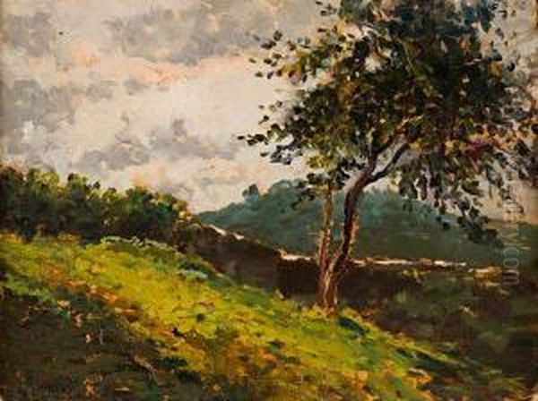 Paesaggio Oil Painting by Enrico Reycend