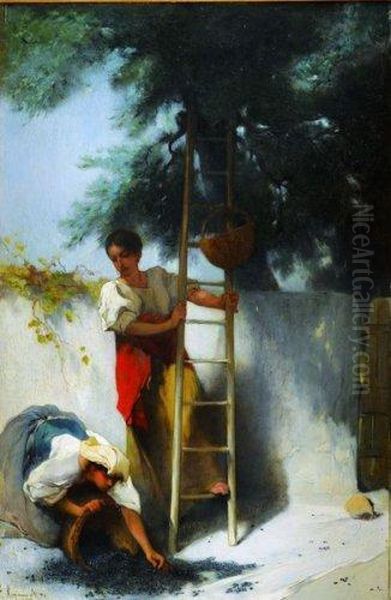 La Cueillette Des Olives En Provence Oil Painting by Francois Reynaud