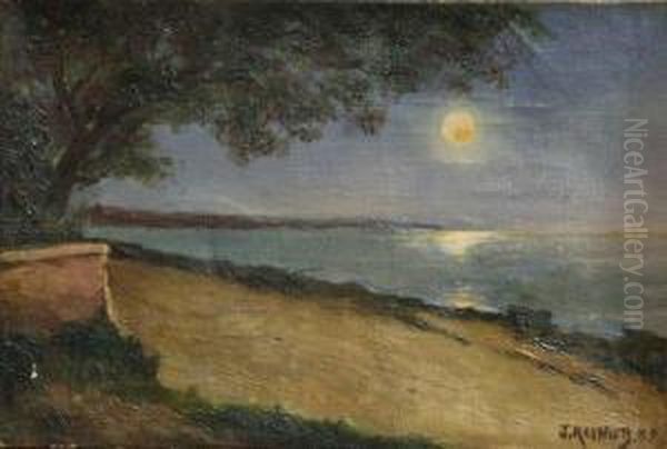 Paysage Au Crepuscule Oil Painting by Jansz Reynier