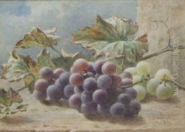 Still Life Study Ofblack And White Grapes On A Ledge Oil Painting by Frederick George Reynolds