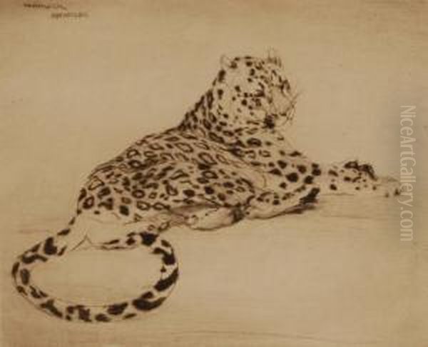 Restingleopard Oil Painting by Warwick Reynolds