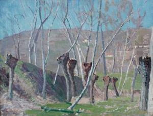 Paesaggio Di Campagna Oil Painting by Camillo Rho