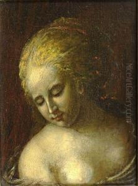 Jeune Femme En Buste Oil Painting by Pietro della Vecchia