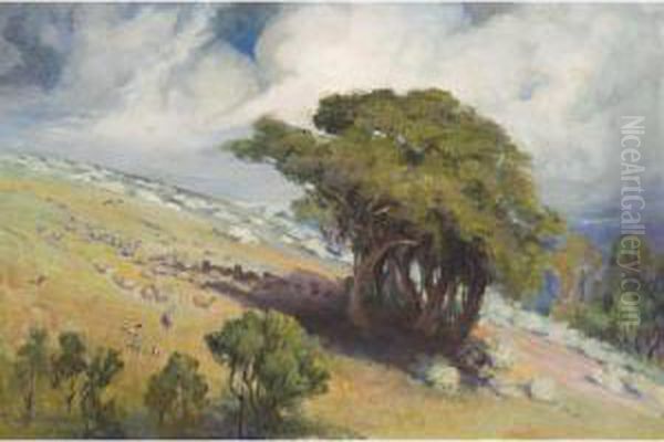 Hillside, Bacchus Marsh Oil Painting by Charles Douglas Richardson