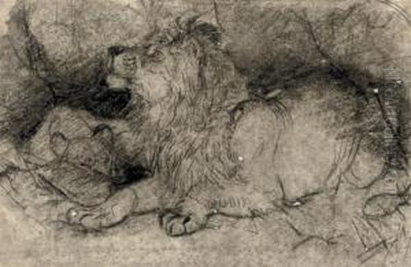 Study Of A Lion And Lioness Oil Painting by Josef Wolft Richter