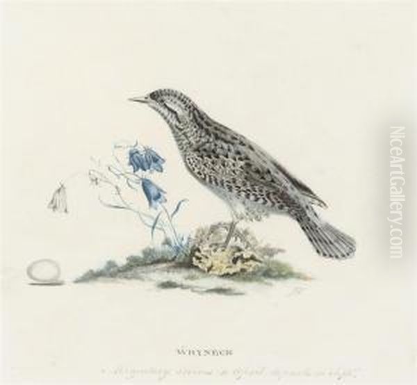 Wryneck (illustrated); And A Tree Pipit And A White Throat Oil Painting by Josef Wolft Richter