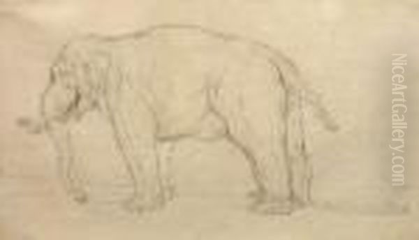 Study Of An Elephant Oil Painting by Johann Elias Ridinger or Riedinger