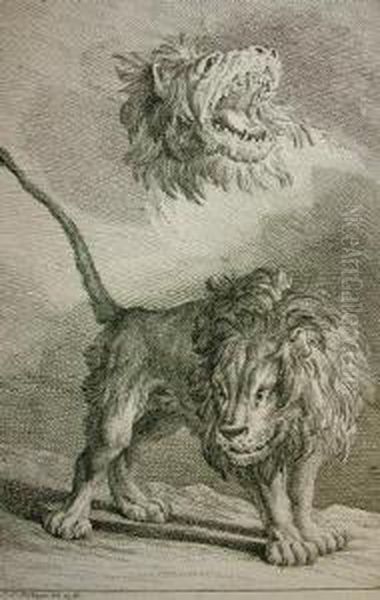 Lion Studies Oil Painting by Johann Elias Ridinger or Riedinger