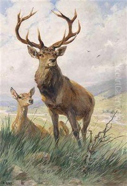 A Real Stag Oil Painting by Emil Rieck