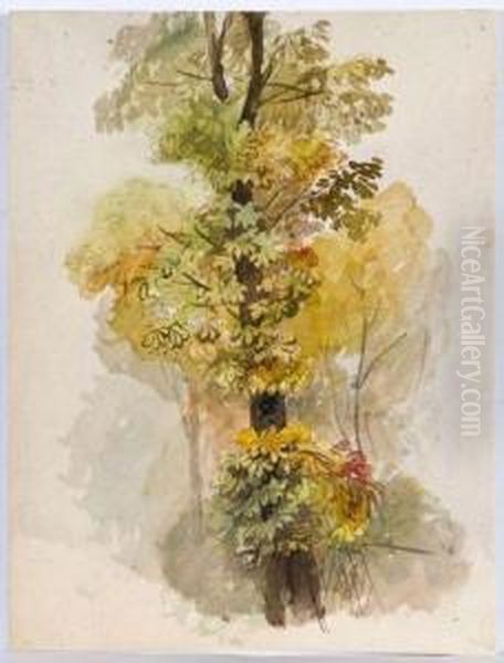 Etude D'arbre (recto Et Verso) Oil Painting by Leon Louis Riesener